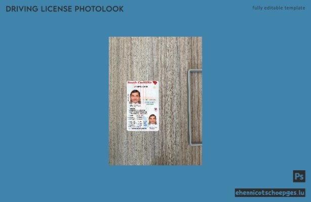 USA, South Carolina: Beispielvorschau für die Passfotoprüfung des Führerscheins für unter 21-Jährige